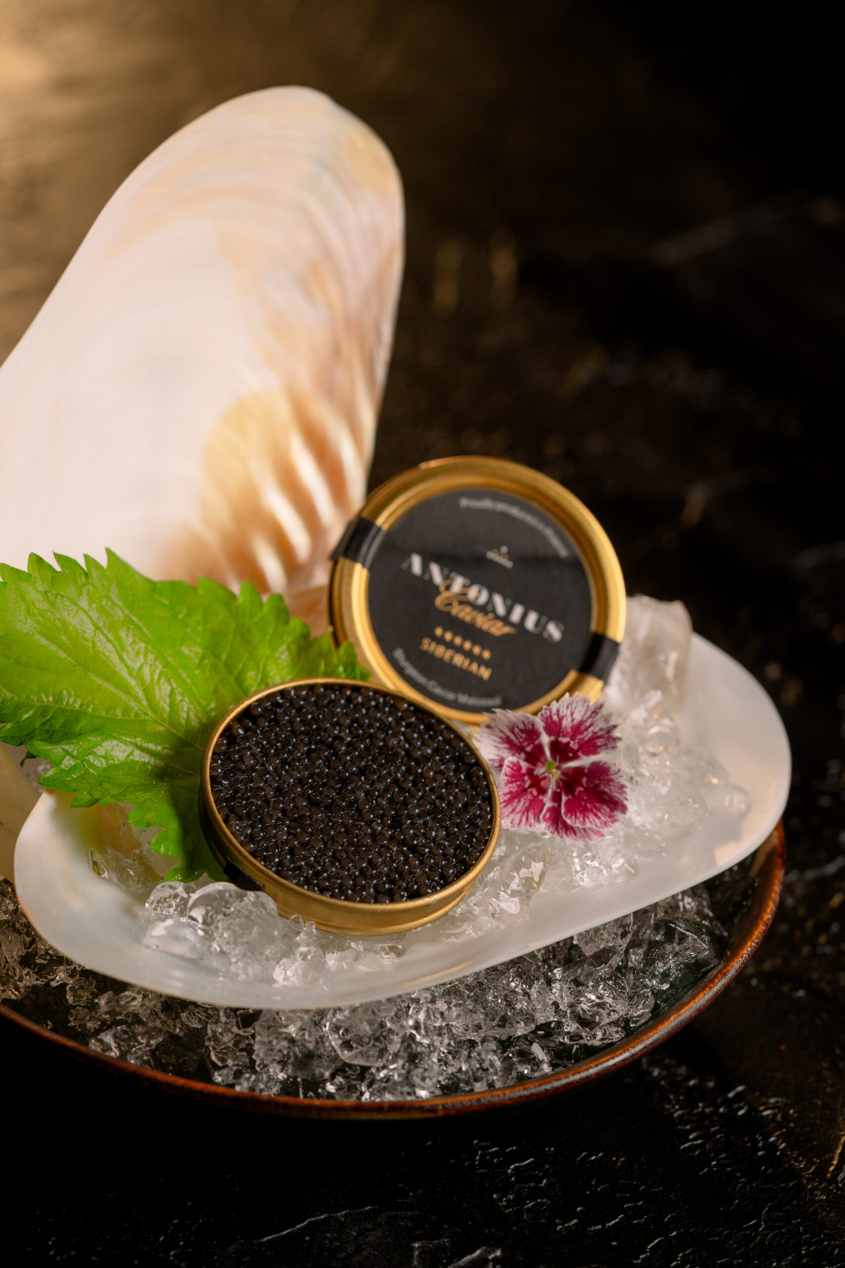 Antonius Caviar